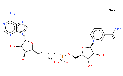 β-煙酰胺腺嘌呤二核苷酸