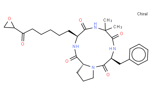 CHLAMYDOCIN