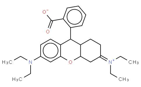 Rhodamine B base