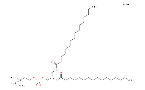 2,3-Dipalmitoyl-sn-glycero-1-phosphocholine