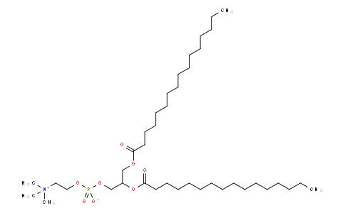 1,2-DIHEXADECANOYL-RAC-GLYCERO-3-PHOSPHOCHOLINE