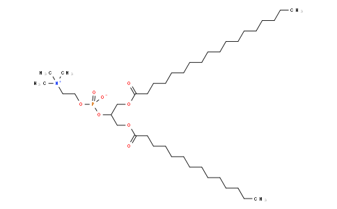 (1-octadecanoyloxy-3-tetradecanoyloxypropan-2-yl) 2-(trimethylazaniumyl)ethyl phosphate