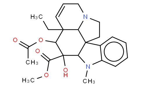 溫都羅新
