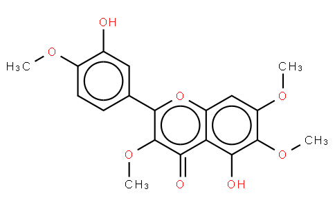 蔓荊子黃素