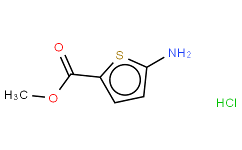 methyl 5-aminothiophene-2-carboxylate,hydrochloride