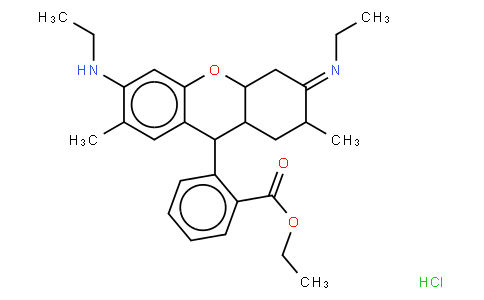 rhodamine 6G