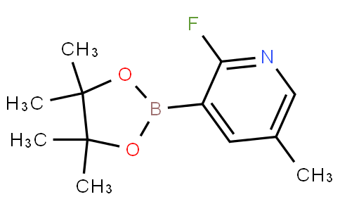 2-氟-5-甲基-3-(4,4,5,5-四甲基-1,3,2-二氧硼烷)-吡啶