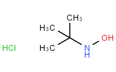 N-叔丁基羥胺鹽酸鹽
