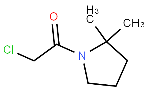 2-chloro-1-(2,2-dimethylpyrrolidin-1-yl)ethanone