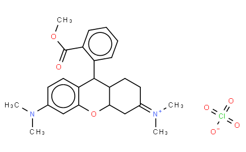 Tetramethylrhodamine methyl ester perchlorate