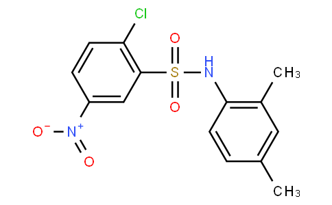 2-chloro-N-(2,4-dimethylphenyl)-5-nitrobenzenesulfonamide