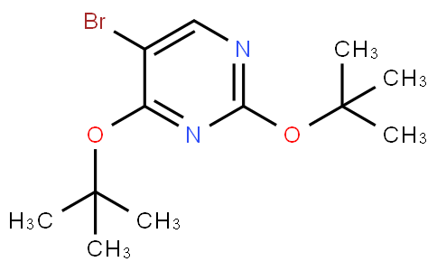 5-溴-2,4-二-(叔丁氧基)嘧啶