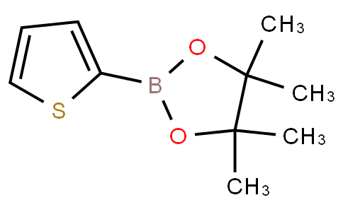 2-噻吩硼酸頻哪醇酯