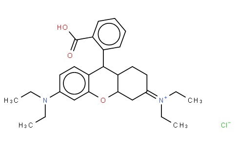 羅丹明B