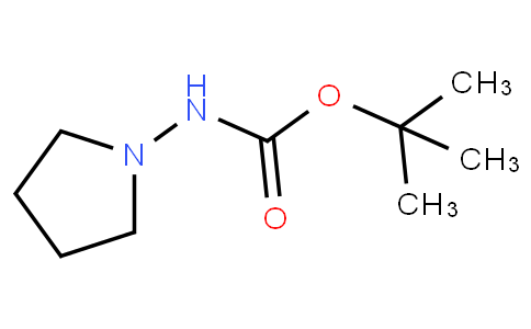 tert-butyl pyrrolidin-1-ylcarbamate